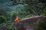 Why Do We Keep Thinking About the Past?